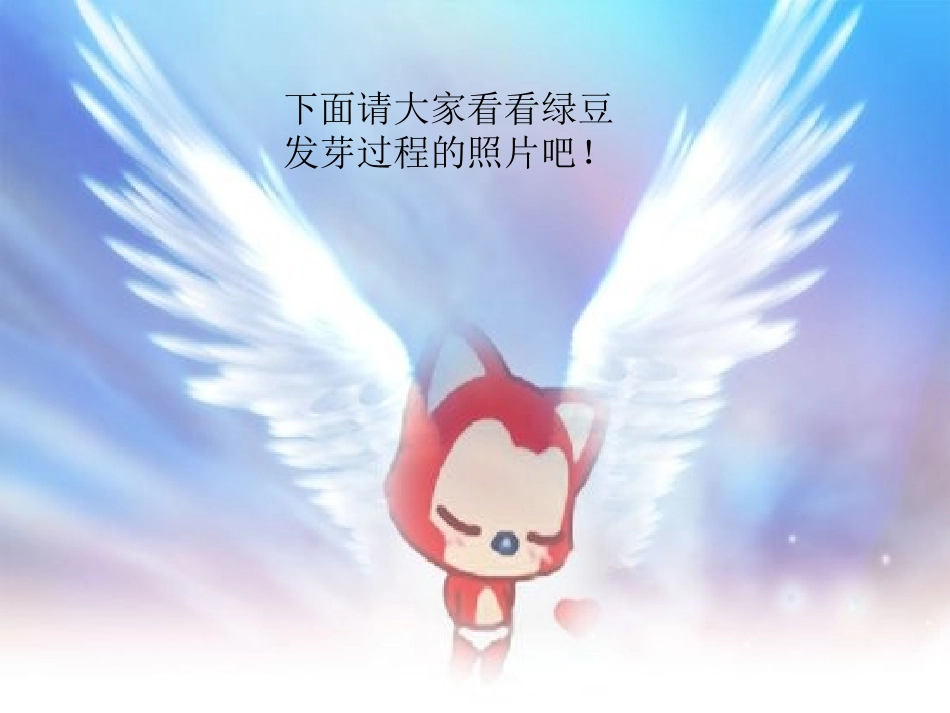 绿豆的种植过程_第2页