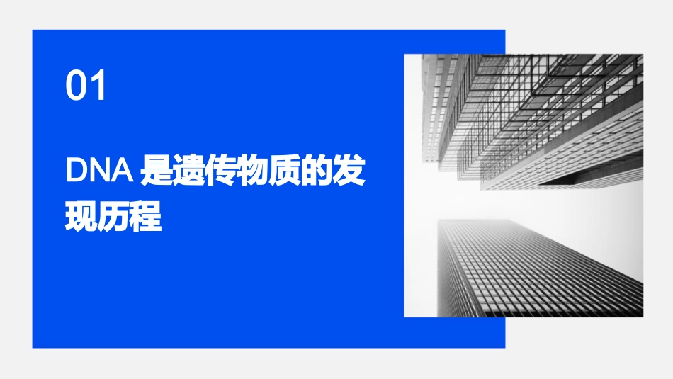 高三复习DNA是主要的遗传物质课件_第3页