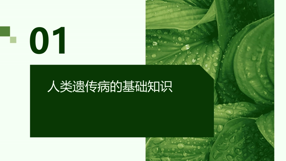 五人类遗传病的遗传方式的判断方法课件_第3页