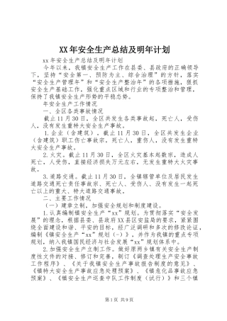 XX年安全生产总结及明年计划 