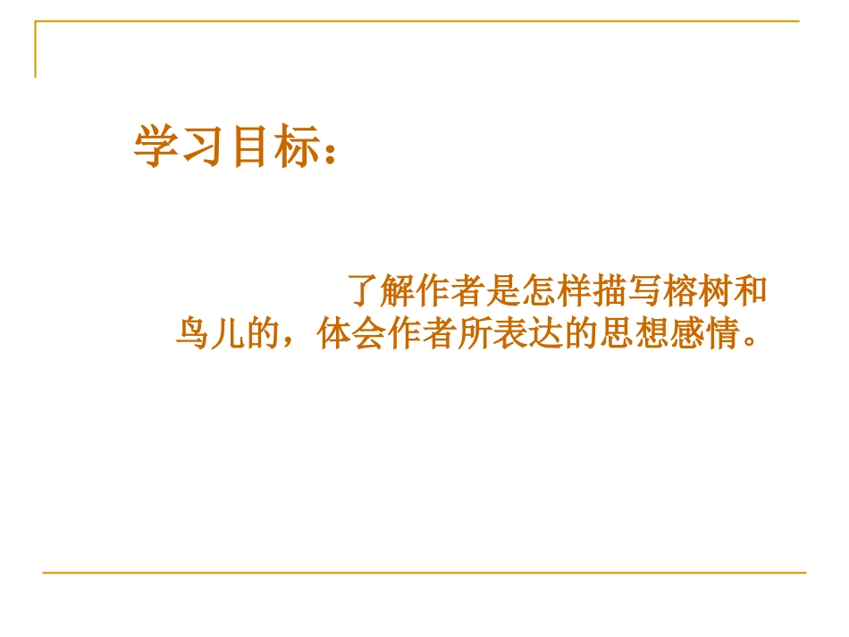 《鸟的天堂》课件_第2页