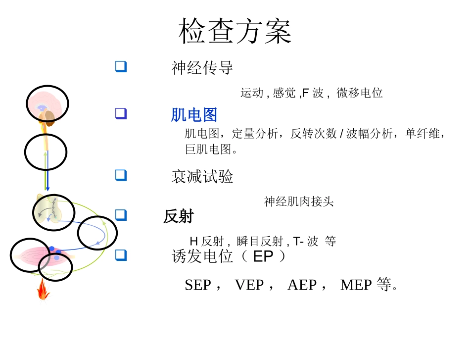 肌电图基本操作_第3页