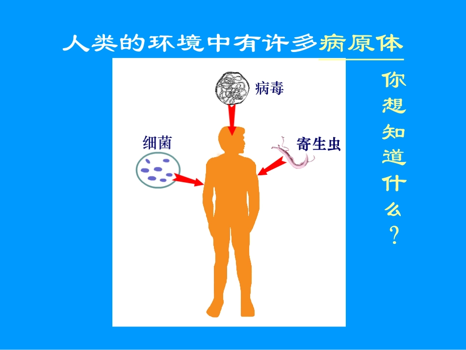 章第一节人体的免疫防线免疫_第2页