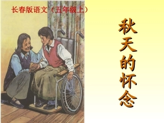 秋天的怀念 (4)