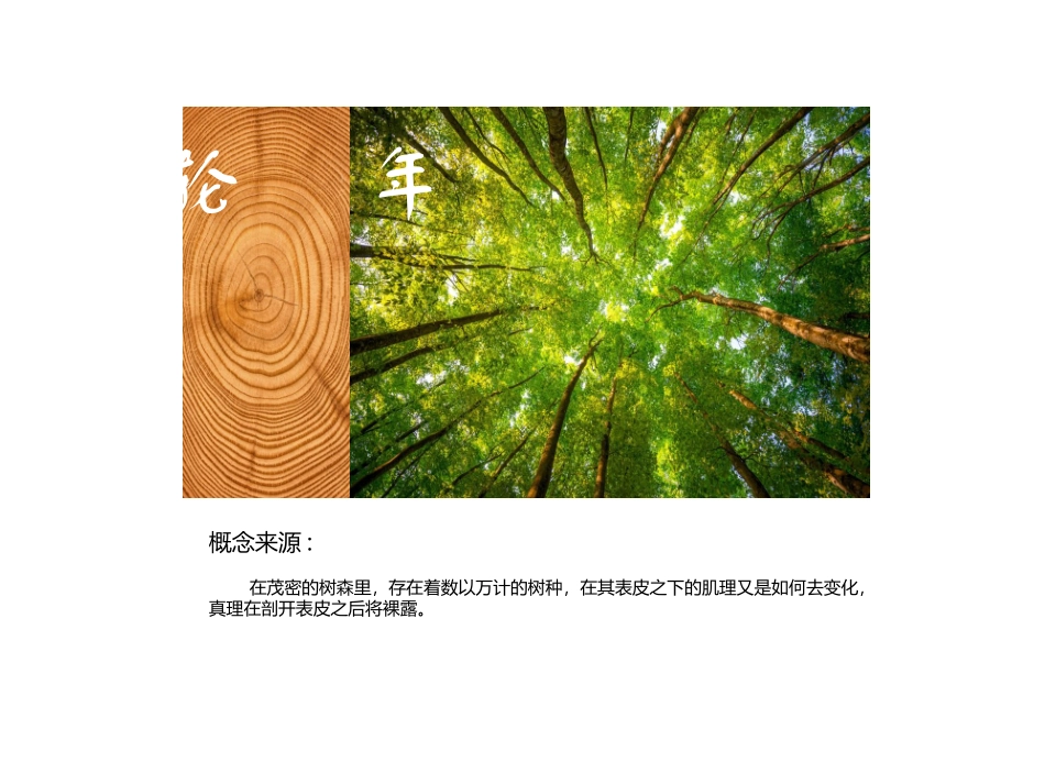 年轮创意设计_第2页