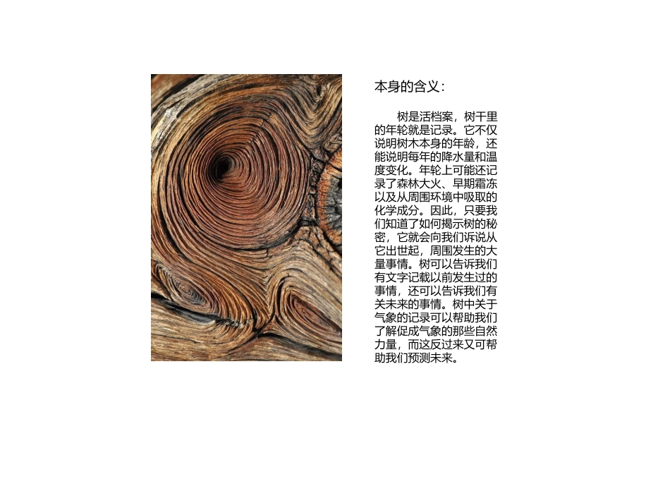 年轮创意设计_第3页