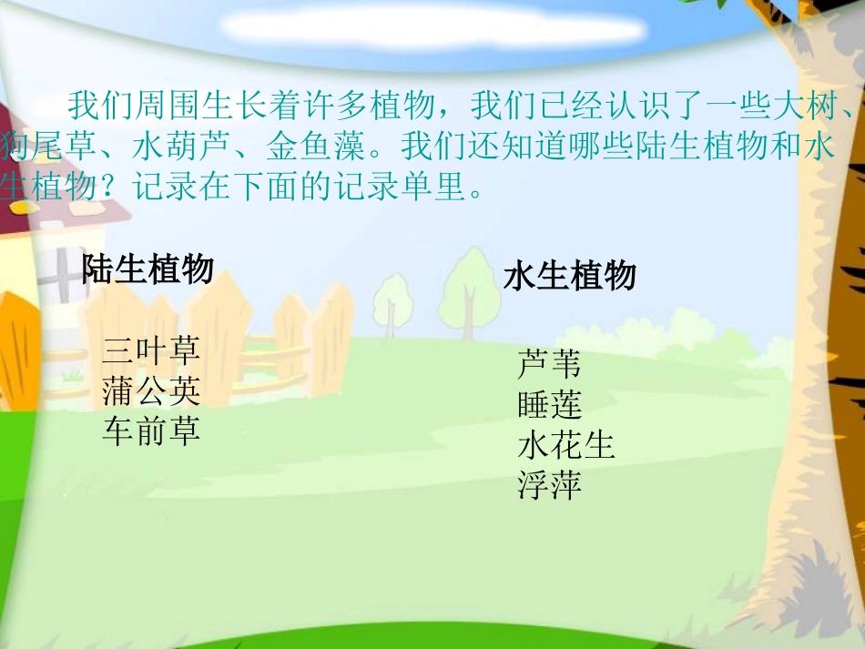 教科版科学三年级上册《植物有哪些共同特点》PPT课件_第2页