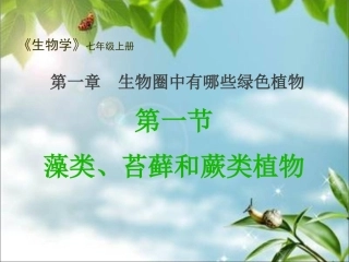 藻类、苔藓和蕨类植物PPT