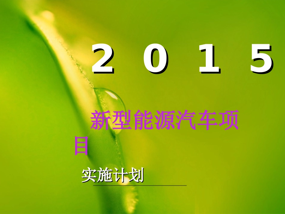 新能源汽车项目策划书(商务定版)_第2页