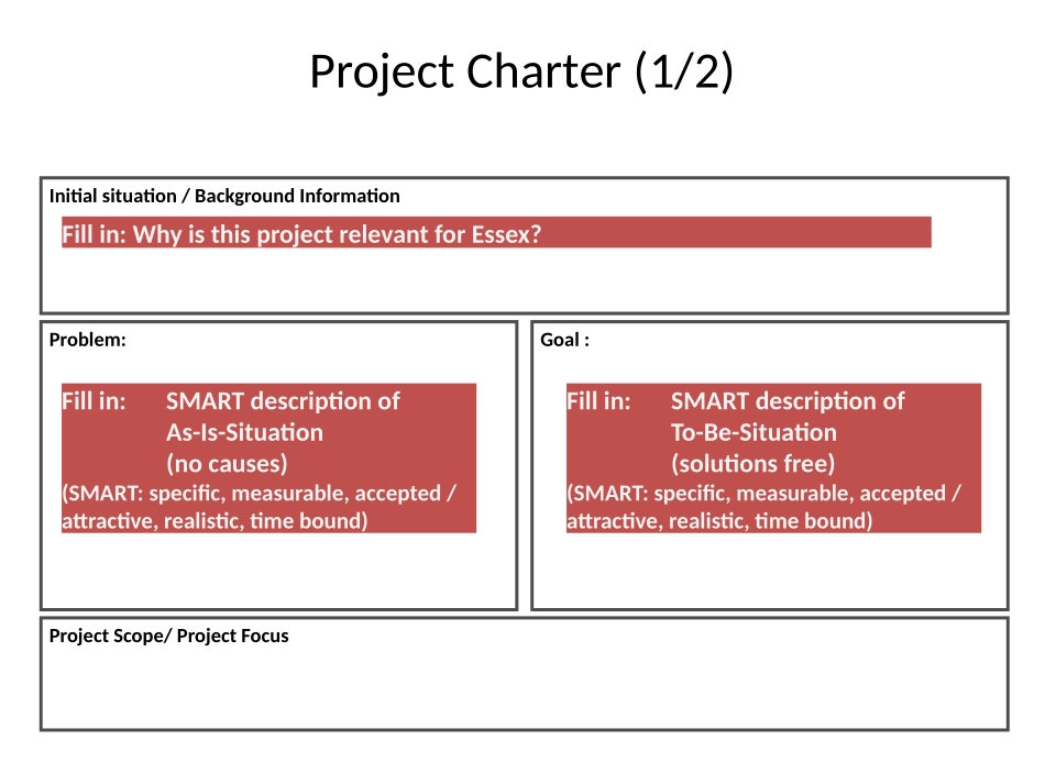 六西格玛项目模板_第2页