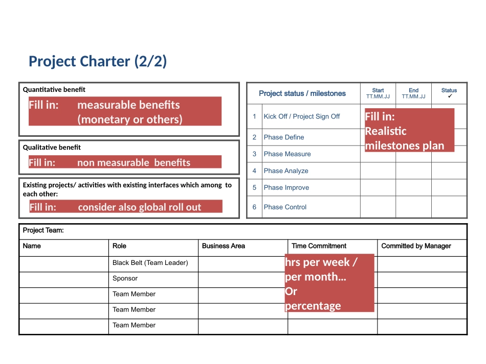 六西格玛项目模板_第3页