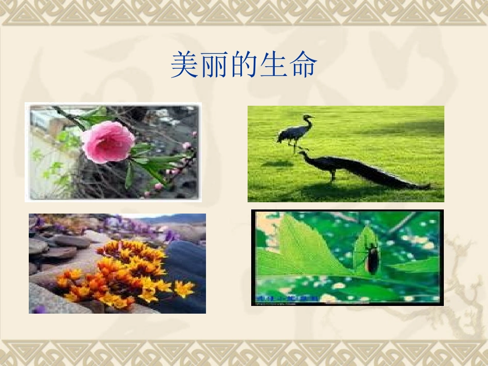 短文两篇课件_第2页