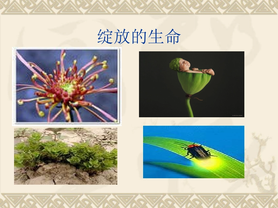 短文两篇课件_第3页