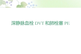 肺栓塞PPT幻灯片