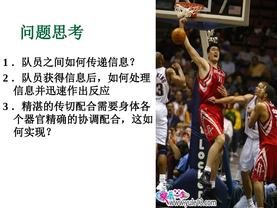 通过神经系统的调节课件_第2页