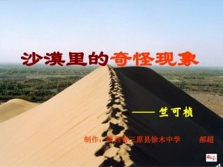 沙漠里的奇怪现象 (2)