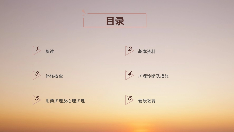 急性白血病护理查房_第2页