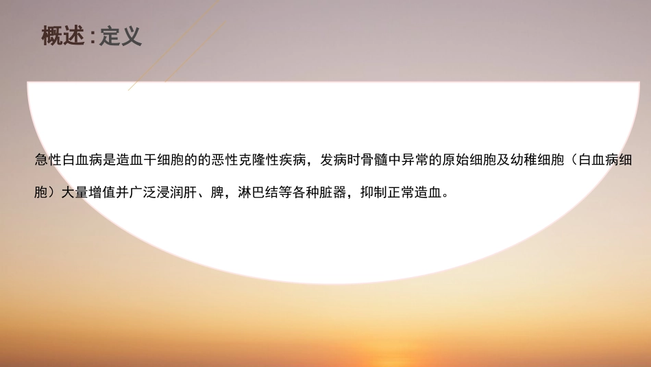 急性白血病护理查房_第3页