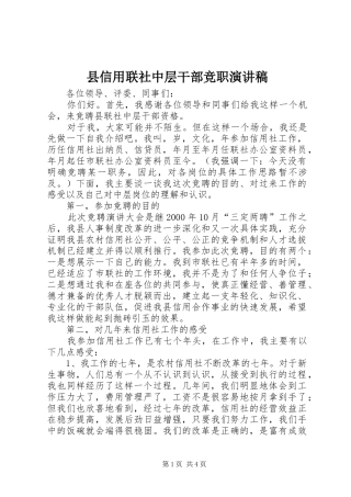 县信用联社中层干部竞职演讲稿