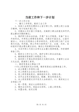 当前工作和下一步计划 