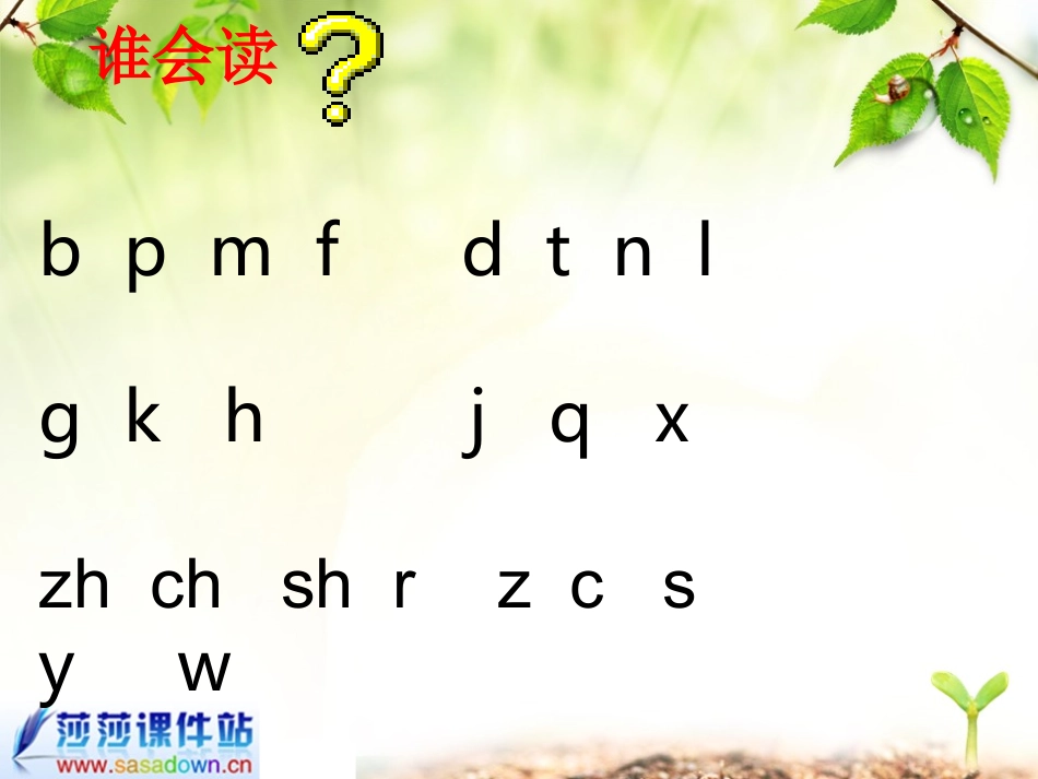 拼音复习二修改_第2页