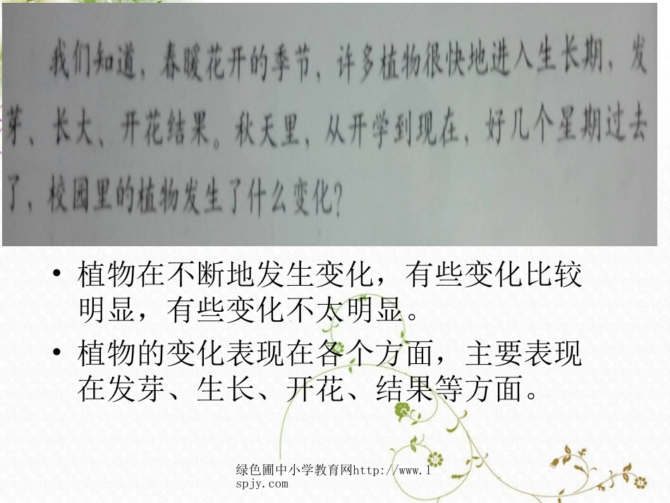 教科版三年级上册科学第一单元植物发生了什么变化_第3页