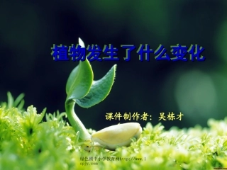 教科版三年级上册科学第一单元植物发生了什么变化