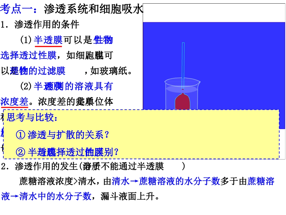高三一轮复习——物质跨膜运输的实例和方式_第3页