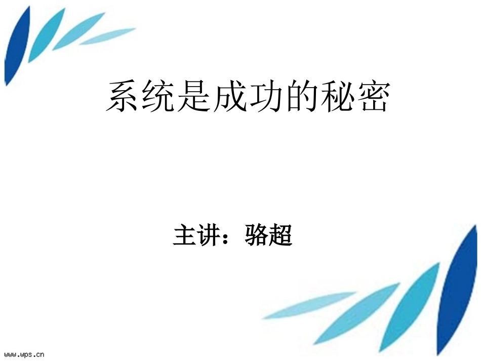系统是成功的秘密  骆超_第1页
