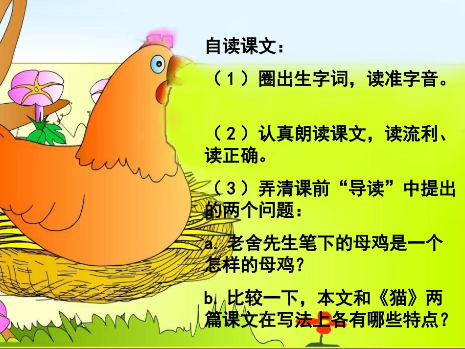 《母鸡》教学课件_第3页
