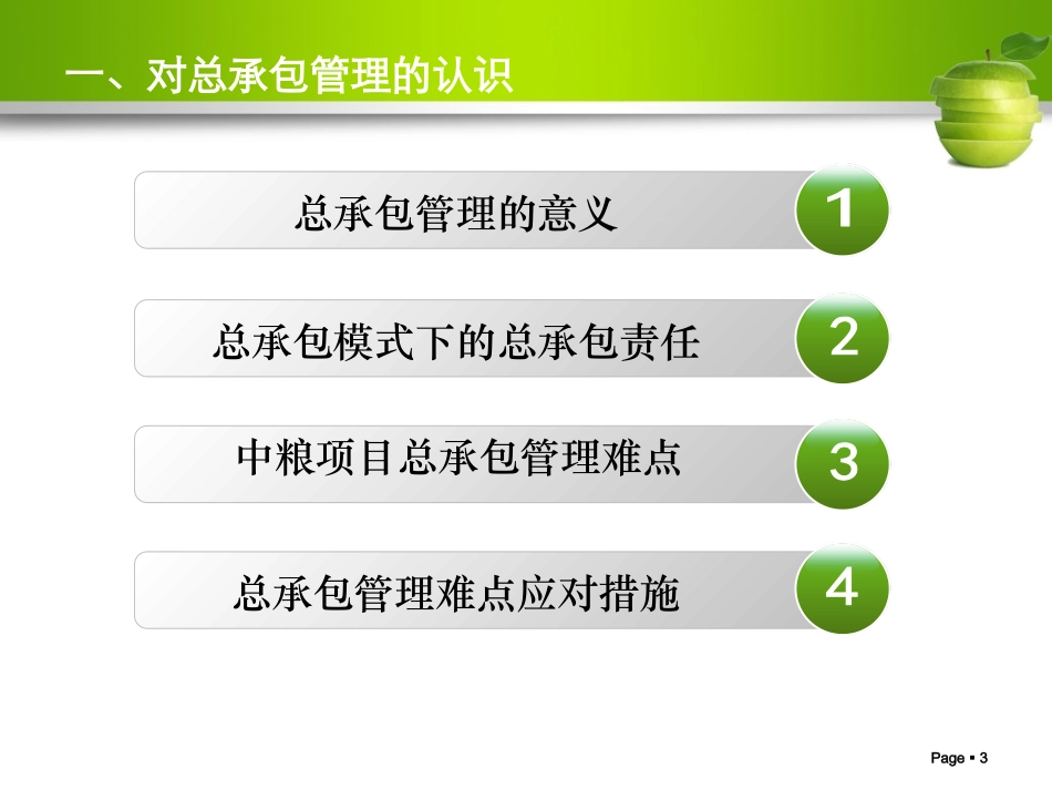 某某项目总承包施工管理_第3页