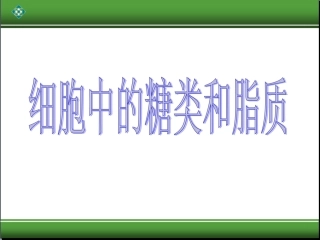 第4节细胞中的糖类和脂质