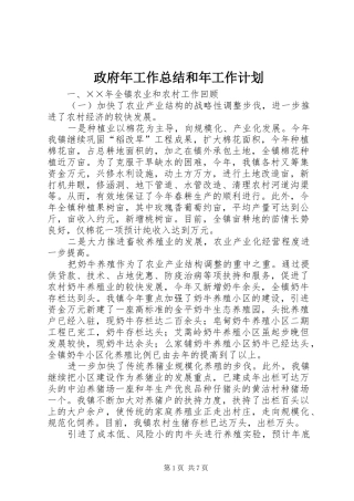 政府年工作总结和年工作计划 