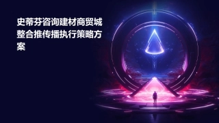 史蒂芬咨询建材商贸城整合推传播执行策略方案课件