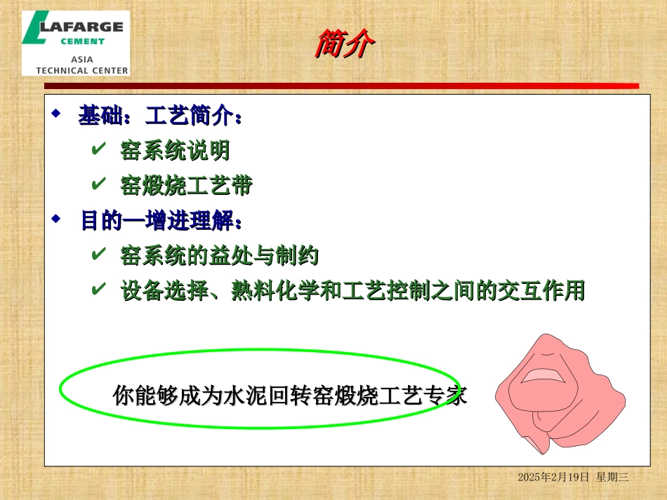 拉法基窑工艺知识培训教程-煅烧工艺_第2页