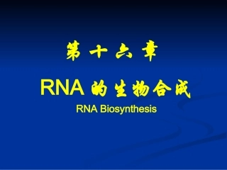 分子生物学-转录
