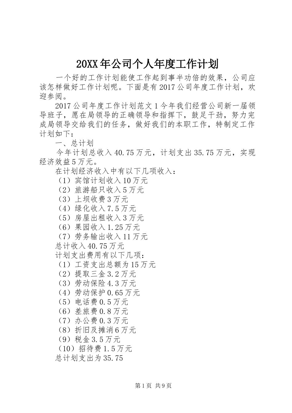 20XX年公司个人年度工作计划_第1页