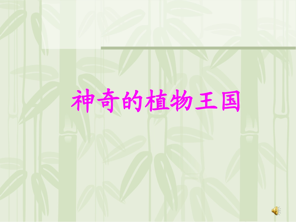 神奇的植物王国_第1页