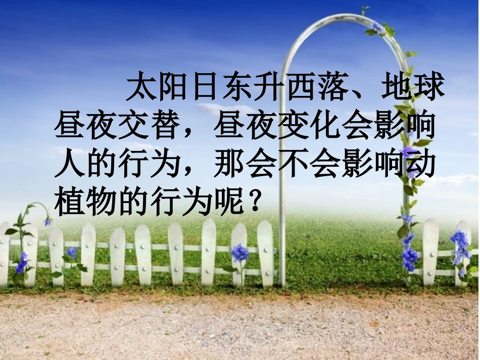 五年级科学昼夜对动植物的影响_第3页