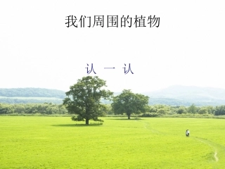 我们身边的植物