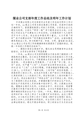 煤业公司支部年度工作总结及明年工作计划 