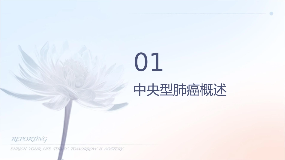 中央型肺癌影像学诊断与分期护理课件1_第3页