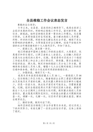 全县维稳工作会议表态发言