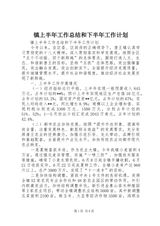 镇上半年工作总结和下半年工作计划 