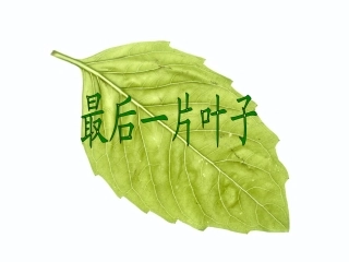 最后一片叶子