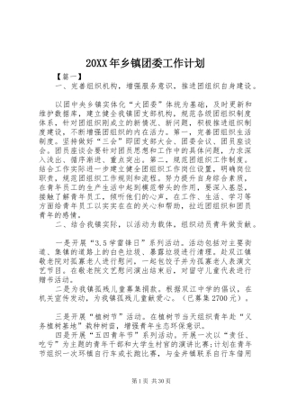 20XX年乡镇团委工作计划