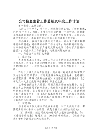 公司信息主管工作总结及年度工作计划 
