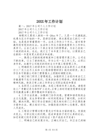 20XX年工作计划 (5)