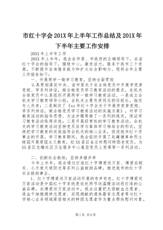 市红十字会201X年上半年工作总结及201X年下半年主要工作安排