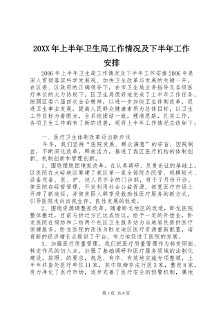 20XX年上半年卫生局工作情况及下半年工作安排